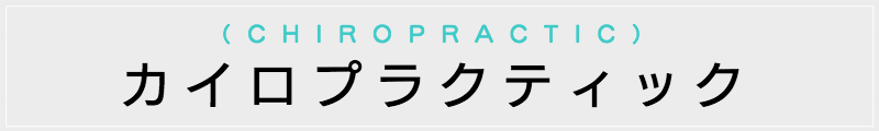 東京の出張マッサージメンズエステ検索カイロプラクティック