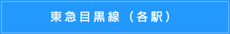 出張マッサージメンズエステ（東急目黒線各駅）