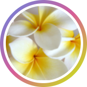 出張マッサージ出張エステシスパ東京のフェイシャルマッサージ癒しの画像